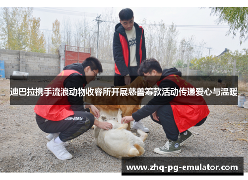 迪巴拉携手流浪动物收容所开展慈善筹款活动传递爱心与温暖