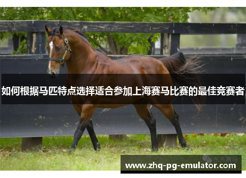如何根据马匹特点选择适合参加上海赛马比赛的最佳竞赛者