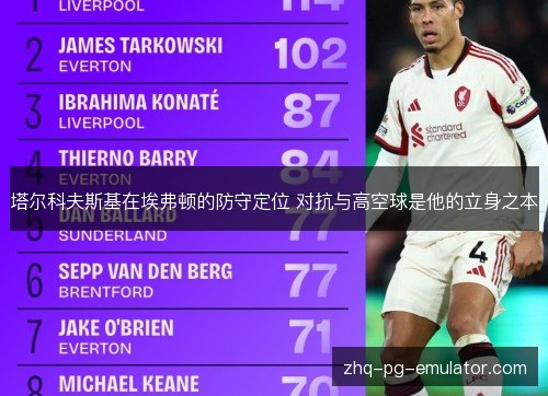 塔尔科夫斯基在埃弗顿的防守定位 对抗与高空球是他的立身之本